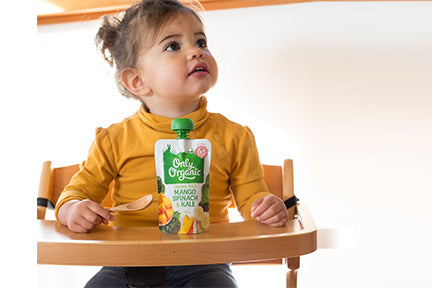 Gerber vs Only Organic: Which Baby Food Brand is Right for Your Little ...